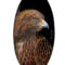 flight-of-courage-soaring-vision-eagle-painting A powerful eagle soaring high, symbolizing courage, strength, and vision